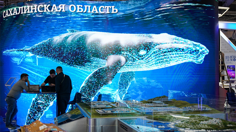 На выставке &laquo;Россия&raquo; покажут свои достижения 89 регионов