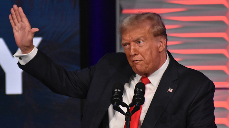 Хейли поздравила Трампа с победой на праймериз в Нью-Гемпшире