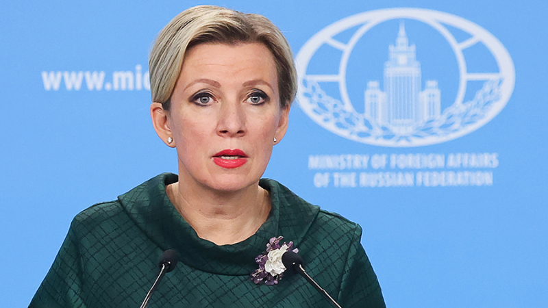 Захарова прокомментировала инциденты с Галкиным и группой &laquo;Би-2&raquo;