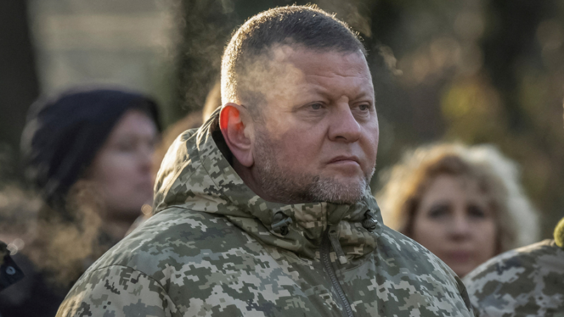 Британский эксперт указал на неспособность Зеленского найти замену Залужному