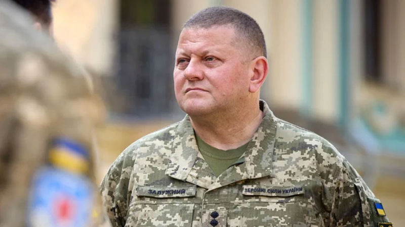 США заявили о невмешательстве в ситуацию с возможной отставкой Залужного