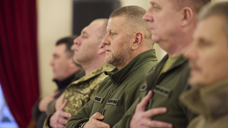 В Госдуме назвали две основные причины отставки Залужного