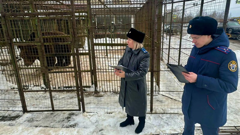 В Смоленской области мужчина погиб после падения с крыши на клетку с медведем